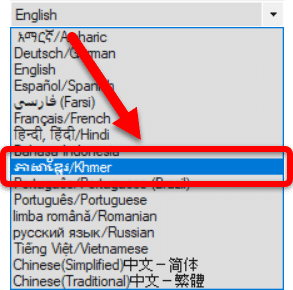 paratext settings localized language drop down